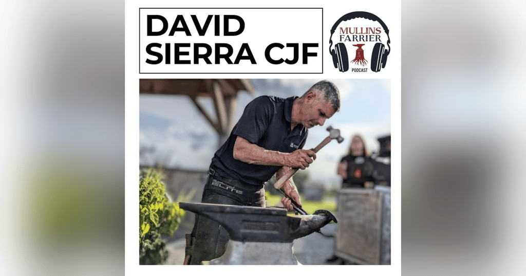 David Sierra CJF