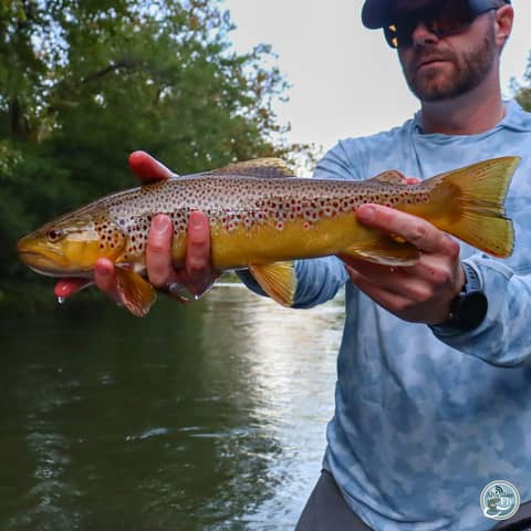 S7, Ep 87: Navigating the Waters: Ellis Ward's Tips for Fall Fishing and Boat Etiquette