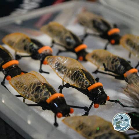 S3, Ep 16: Southwest VA Fishing Report with Matt Reilly