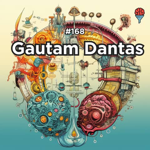 Can Your Gut Predict Alzheimer's?