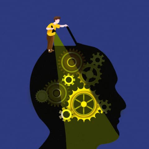 Discover the Fascinating Secrets in “How the Mind Works”