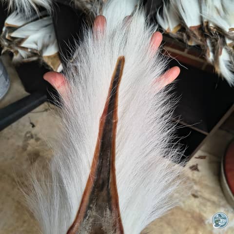 S8, Ep 5: Frosty Mornings and Musky Pursuits: January Fishing Insights with Ellis Ward