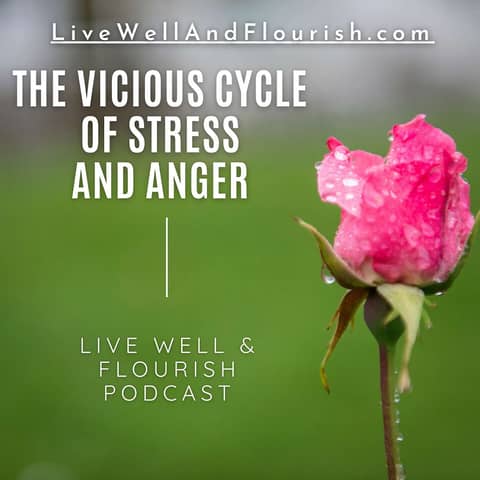The Vicious Cycle of Stress and Anger