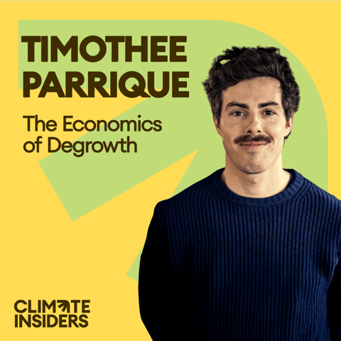 Slowdown or Perish: the economics of degrowth (ft. Timothée Parrique)