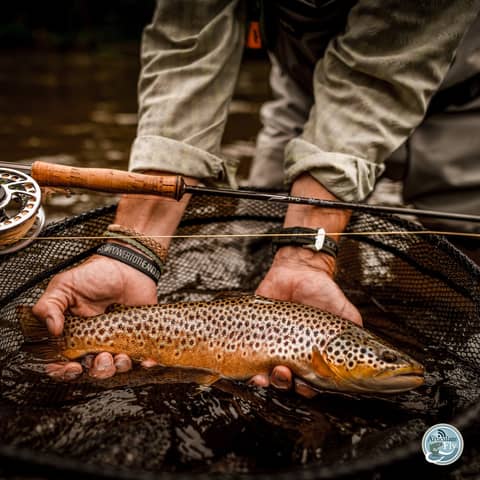 S3, Ep 170: Tip of the Mitt Fishing Report with True North Trout