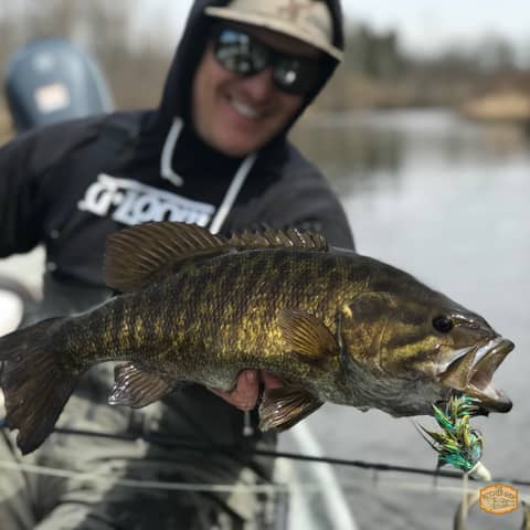 BONUS: A Deep Dive into the Swingin' D: Techniques and Tips with Mike Schultz BONUS: A Deep Dive into the Swingin' D: Techniques and Tips with Mike Schultz