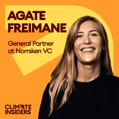 Norrsken VC - Impact investing in a market downturn with Agate Freimane