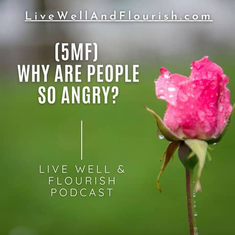 Why are people so angry (Five Minute Flourishing)