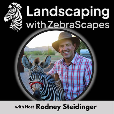 How to Get High-Ticket Clients With Organic Traffic