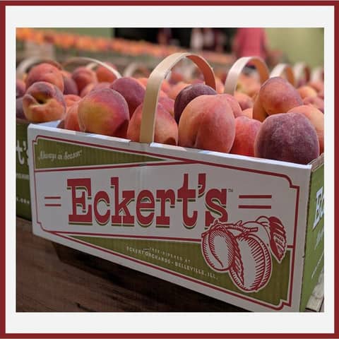 Harvesting Memories: The Evolution of Farming and Family Entertainment at Eckert's Orchards