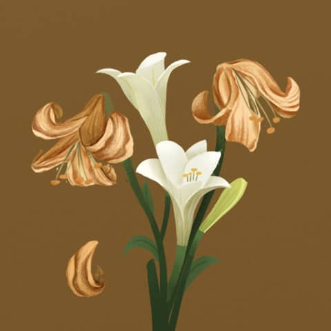 Tess of the D'Urbervilles: A Tale of Innocence and Tragedy