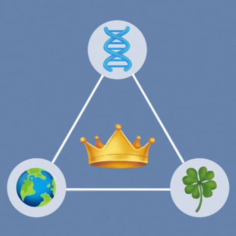 The Outsiders Book Lessons on Community and Acceptance:The Power of Belonging