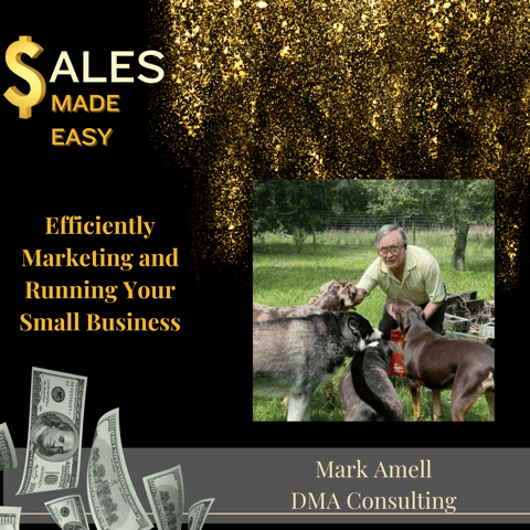 Efficiently Marketing and Running Your Small Business With Mark Amell