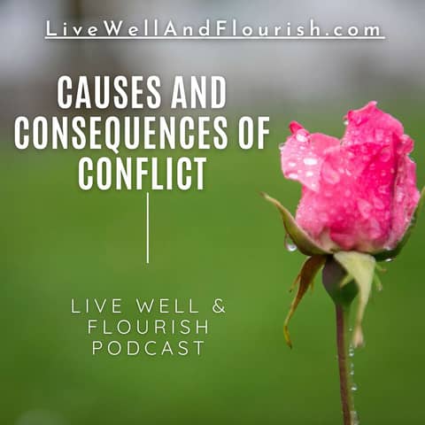 Causes and Consequences of Conflict