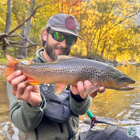 S7, Ep 86: Navigating Fall Waters: George Costa's Tips for Low and Clear Conditions