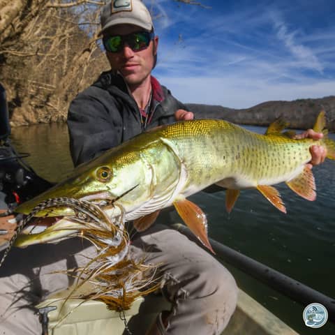 S7, Ep 90: Transitioning Tactics: Matt Reilly on Targeting Smallmouth and Musky This Fall