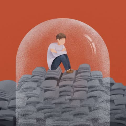 The Coddling of the American Mind: Nurturing Fragility