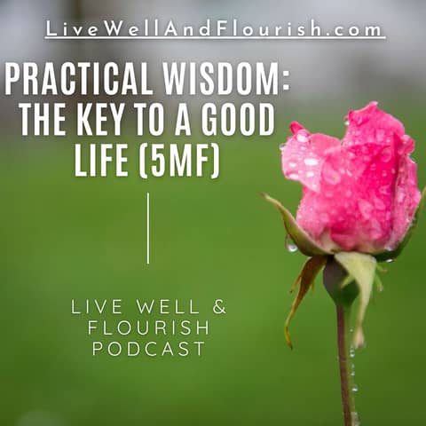Practical Wisdom: The Key to Unlocking an Excellent Life