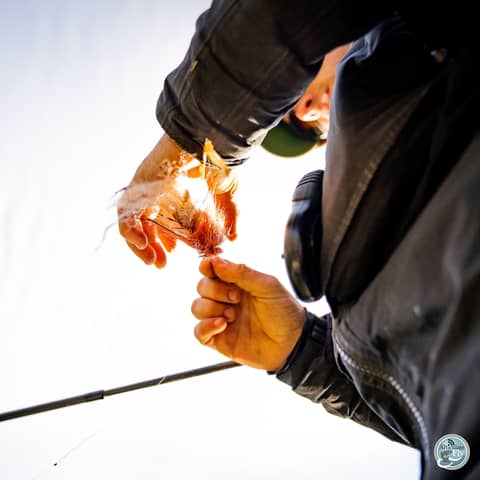 S6, Ep 137: Navigating Post-Hurricane Waters with Matt Reilly