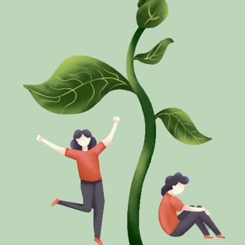 12 rules for life Book Summary