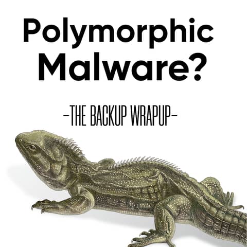 How Polymorphic Malware Evades Detection — And What to Do About It