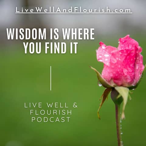 Finding Wisdom: Developing a Wisdom Mindset