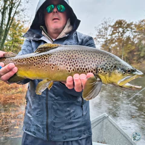 S7, Ep 95: Navigating the Bite: Ellis Ward's Guide to Catching Big Browns
