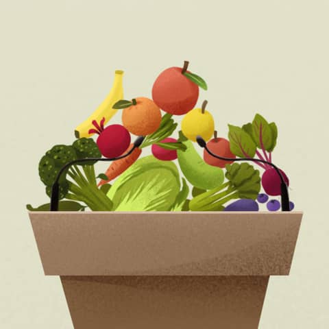 In Defense of Food: Unlocking the Secrets to Health