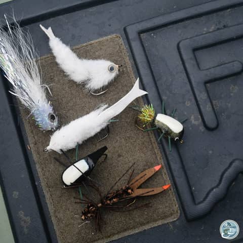 S4, Ep 67: Southwest VA Fishing Report with Matt Reilly