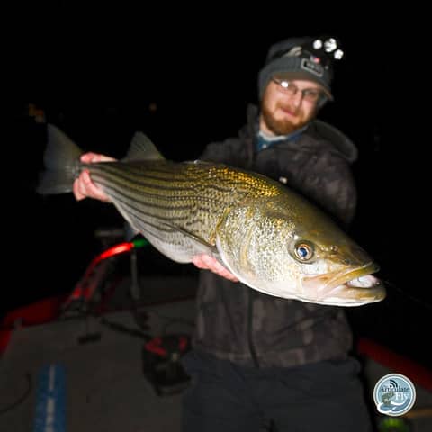 S3, Ep 174: Central VA Fishing Report with TaleTellers Fly Shop