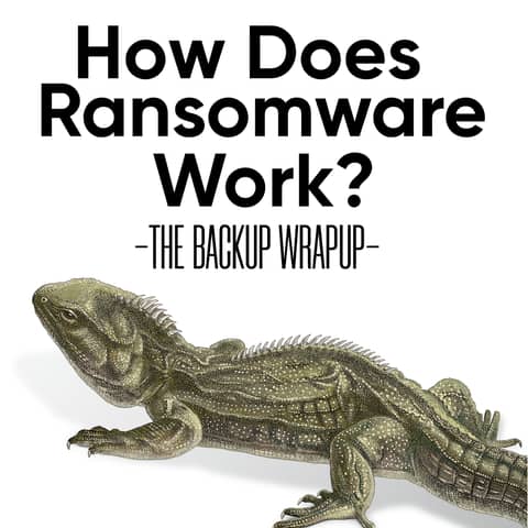 How Ransomware Works: The Five Objectives of Every Attack