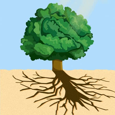 Contemplating Mortality: Unveiling Insights from 'Staring at the Sun'