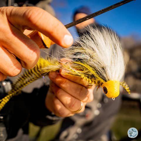 S6, Ep 125: Weathering the Storm: Southwest Virginia's Fishing and Tourism Recovery