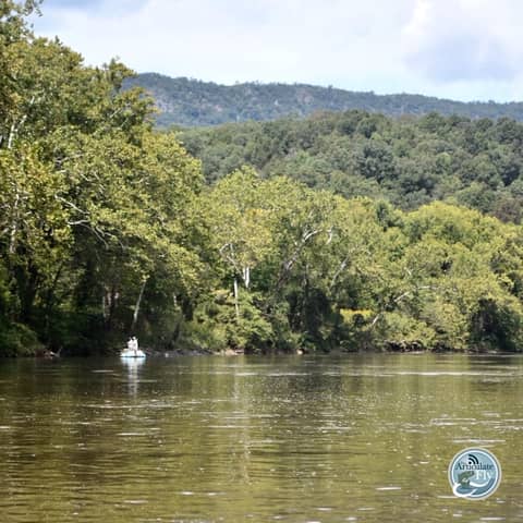 S3, Ep 140: Southwest VA Fishing Report with Matt Reilly