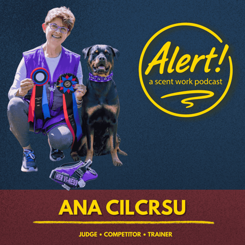 Ana Cilursu | Seeing Searches the Way Your Dog Does