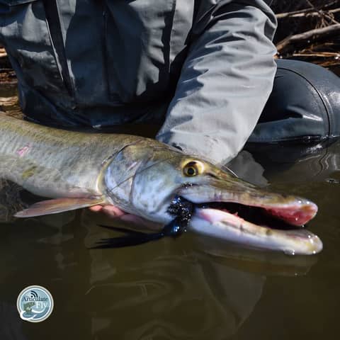 S3, Ep 163: Southwest VA Fishing Report with Matt Reilly