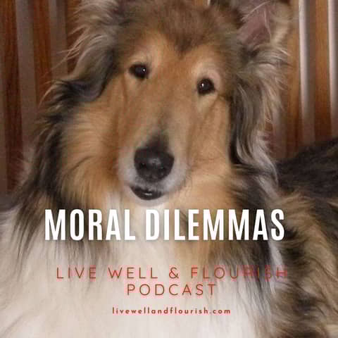Moral Dilemmas and the Death of a Pup