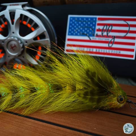 S4, Ep 151: Southwest VA Fishing Report with Matt Reilly