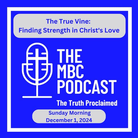 The True Vine:  Finding Strength in Christ's Love