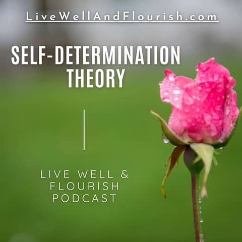 Finding Fulfillment through Self-Determination