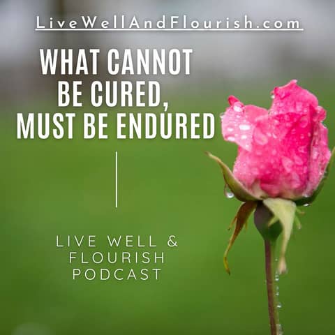 Appalachian Wisdom: What cannot be cured must be endured