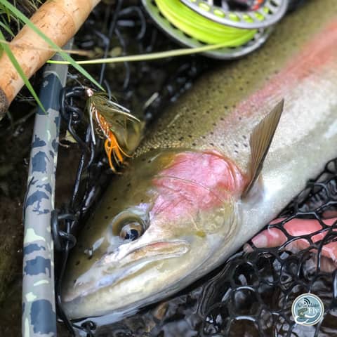 S3, Ep 165: Tip of the Mitt Fishing Report with True North Trout