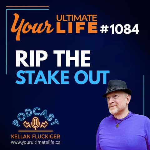 The Swamp of Learned Helplessness (And How to Rip the Stake Out)