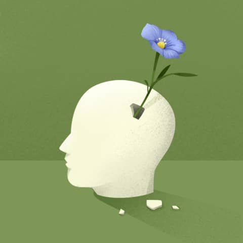 The Brain That Changes Itself: Unlocking Our Neuroplasticity Potential