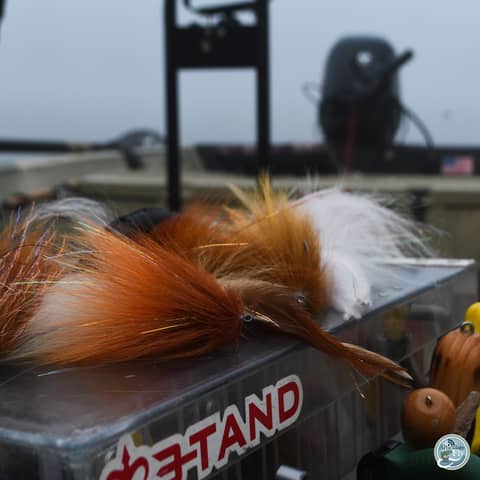 S6, Ep 146: Musky Mysteries: Winter Tactics and Fly Tying Tips with Matt Reilly