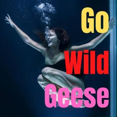 Go Wild Geese