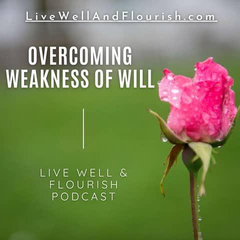 Overcoming weakness of will
