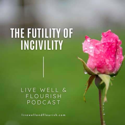 The Futility of Incivility