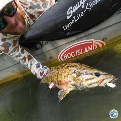 S6, Ep 83: Hot Days and Clear Waters: Matt Reilly's Southwest Virginia Fishing Report