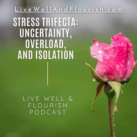Stress Trifecta: Uncertainty, Isolation, and Overload